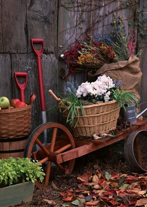 【2024年最新】タカラスタンダード立川ショールームの魅力と見どころ｜キッチン・バス・洗面台を実物で体験できる充実の展示スペース