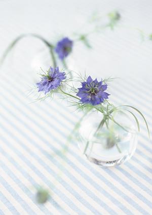 新宿エリアで快適な暮らしを実現！タカラスタンダード新宿ショールームの魅力と特徴