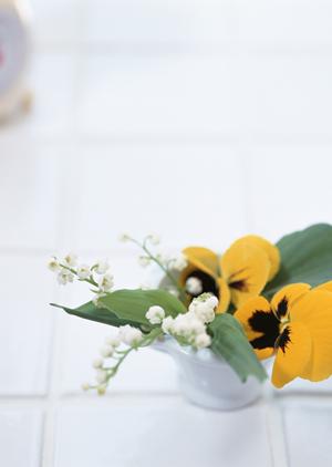 愛知県名古屋駅前ショールーム｜タカラスタンダードの魅力と店舗情報